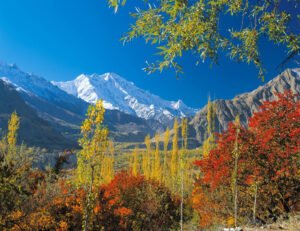 Autumn -  Hunza & Naltar