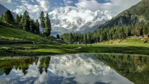 Adventure - Fairy Meadows & Nanga Parbat Basecamp