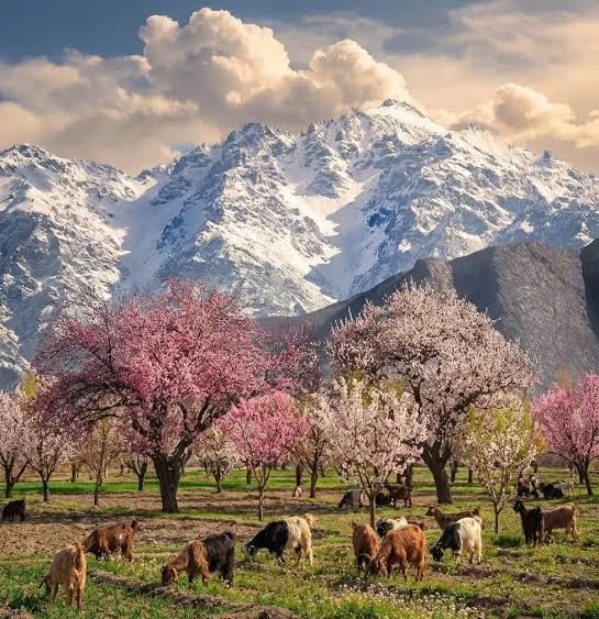 hunza-skardu