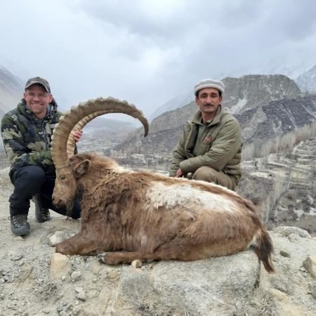 HIMALAYAN-IBEX-9